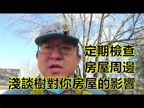 房子旁邊有樹|【牆上長樹與風水】牆壁長樹該找誰處理 